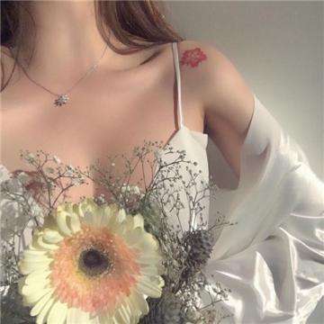 专栏数据备份获取方式